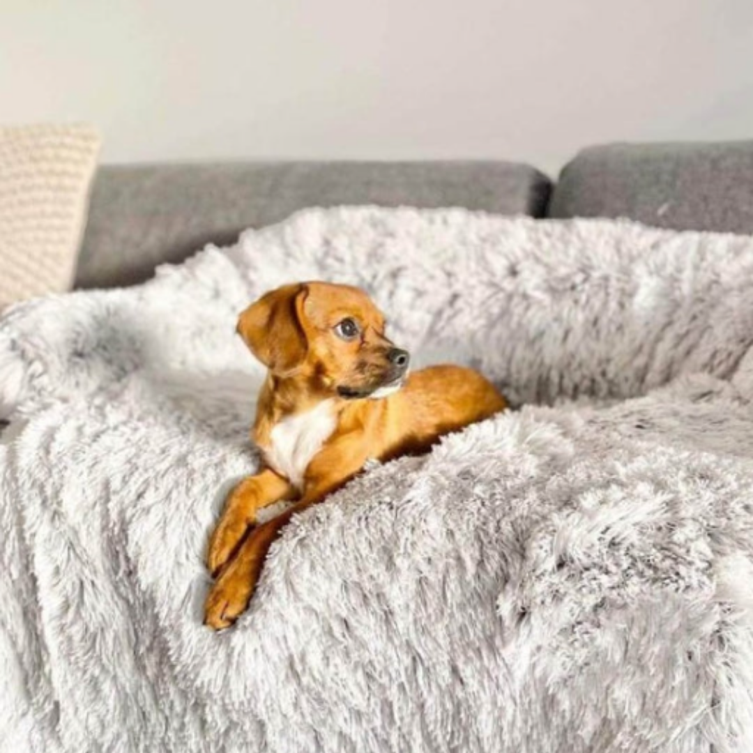 Un Intérieur Impeccable avec nos Housses Pratiques