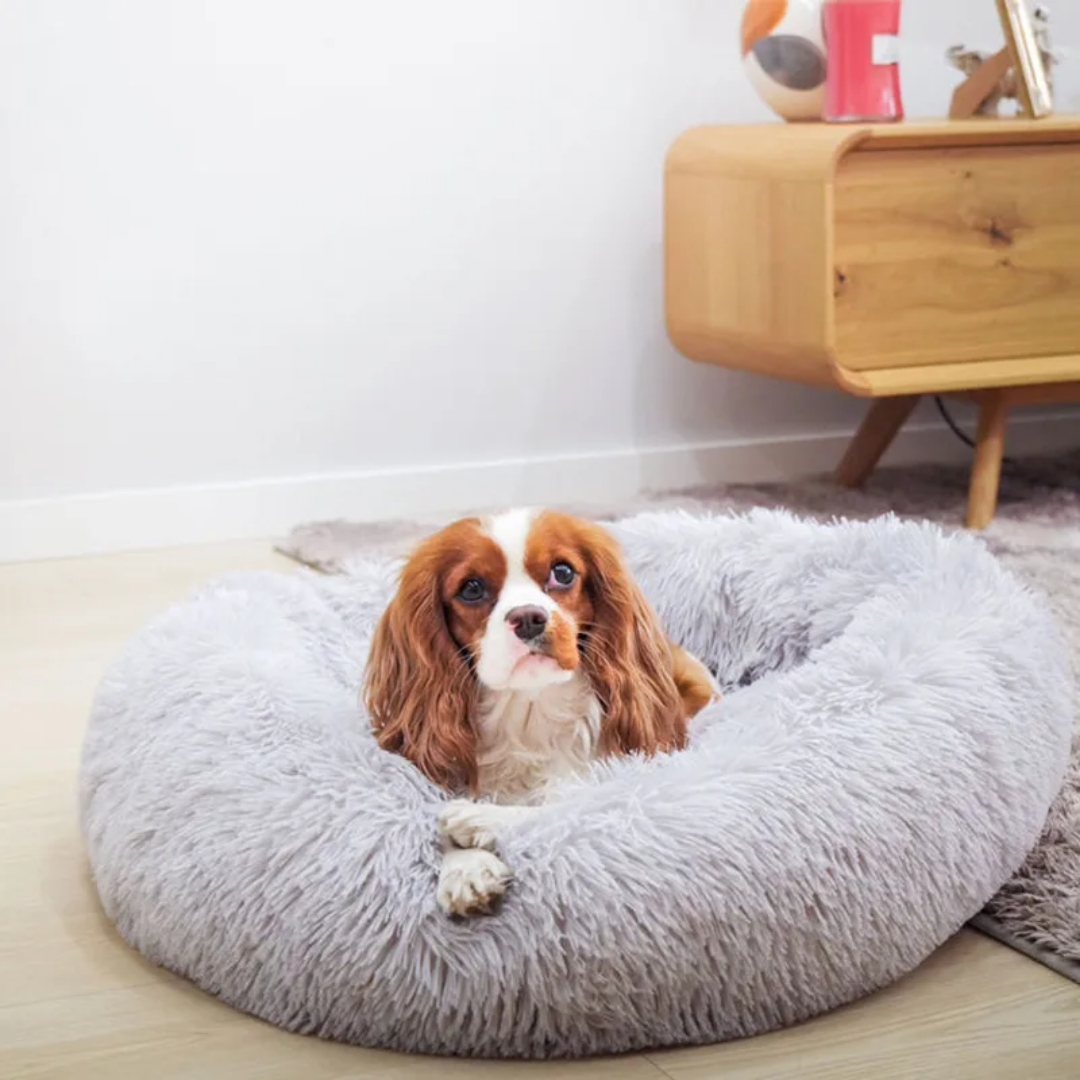 Coussin apaisant et relaxant